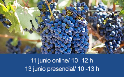 Taller semipresencial Conocer la oferta turística de la Ruta del Vino de Bullas